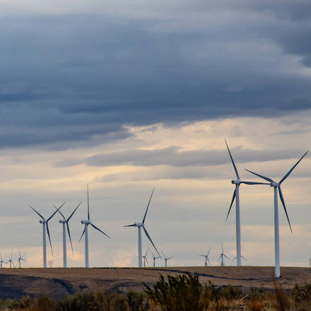 About 20 wind turbines on an open field